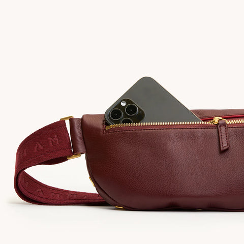 Hammitt Charles Crossbody Medium Cherrywood Pebble/Brushed Gold