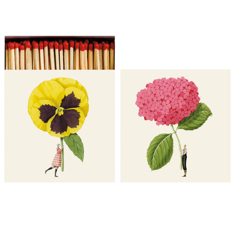 Hester & Cook In Bloom Matches - Box of 60