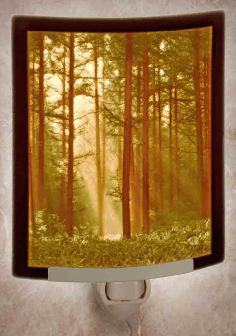 The Porcelain Garden Woodland Sunbeams Colored Curved Night Light