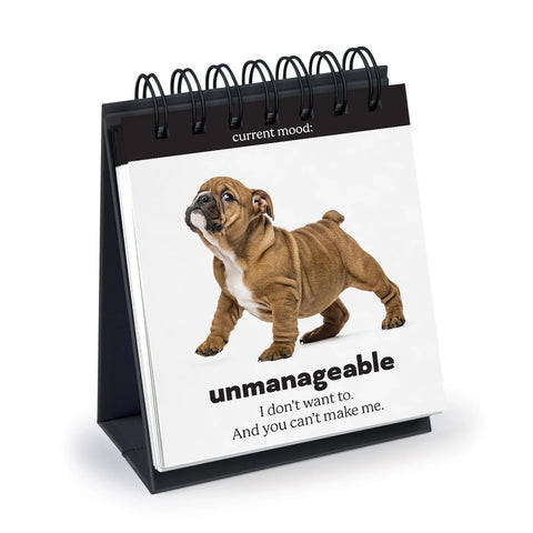 Fred & Friends Daily Doggo Desktop Flipchart