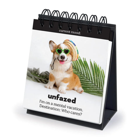Fred & Friends Daily Doggo Desktop Flipchart