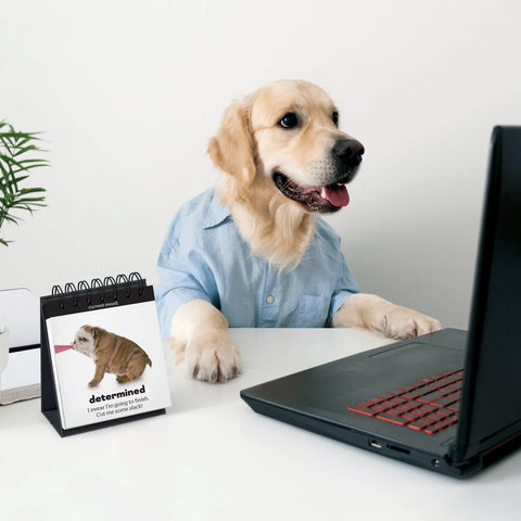 Fred & Friends Daily Doggo Desktop Flipchart