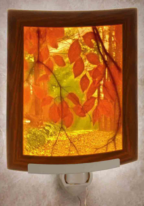 The Porcelain Garden Secret Path Colored Curved Night Light