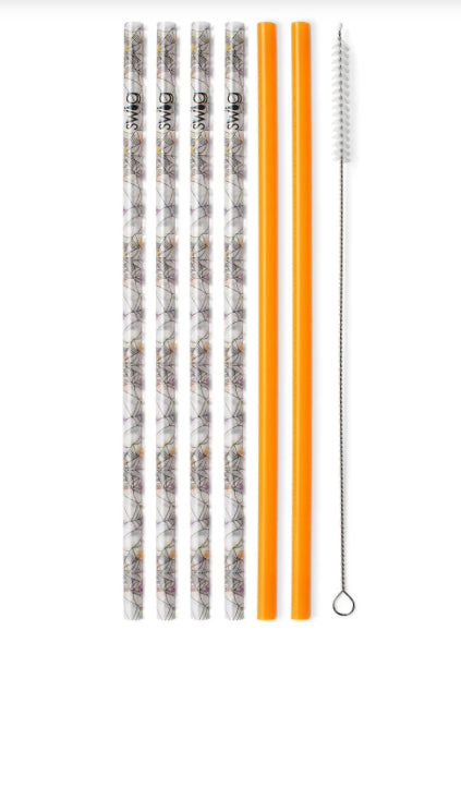 Swig Itsy Bitsy & Orange Reusable Straw Set