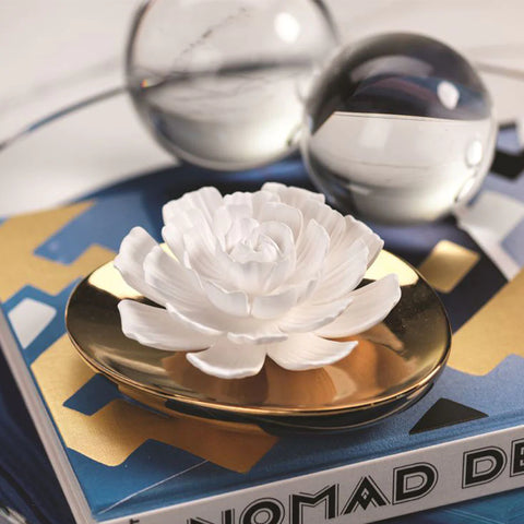 Zodax Dream Porcelain Flower Diffuser White Rose