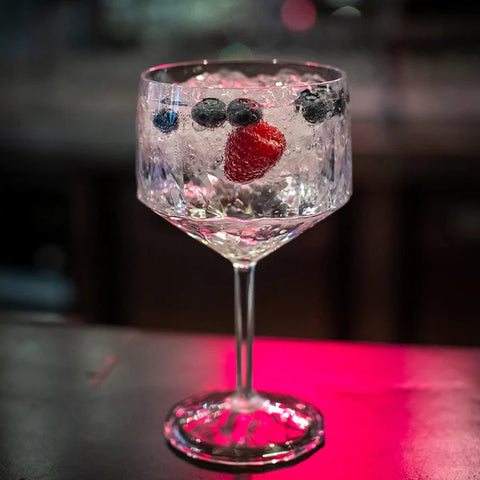 NEW Vietri Superglass Polycarbonate Gin Glass