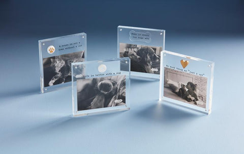 Mudpie Acrylic 4x6 Cat Paw Frame