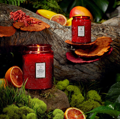 Voluspa Goji Tarocco Orange Small Jar Candle