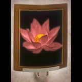 The Porcelain Garden Lotus Colored Curved Nightlight