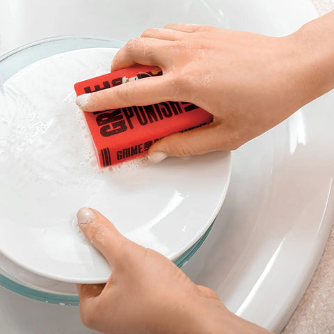 Fred & Friends Neat & Novel Chapter 2 Sponges