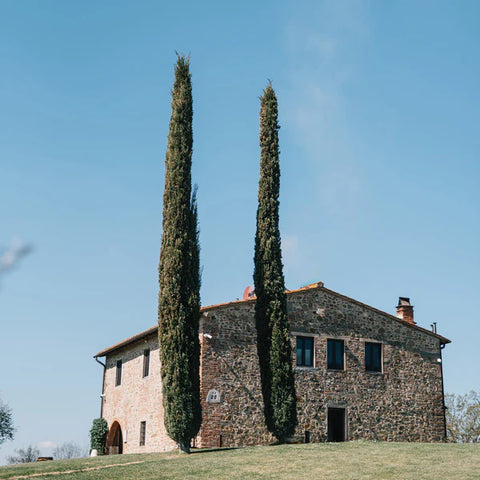 Vietri Italy On A Plate: Travels, Memories, Menus Book