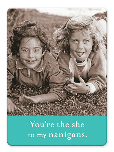Shannon Martin Design Shenanigans Magnet