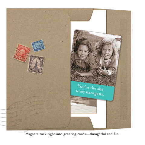 Shannon Martin Design Shenanigans Magnet