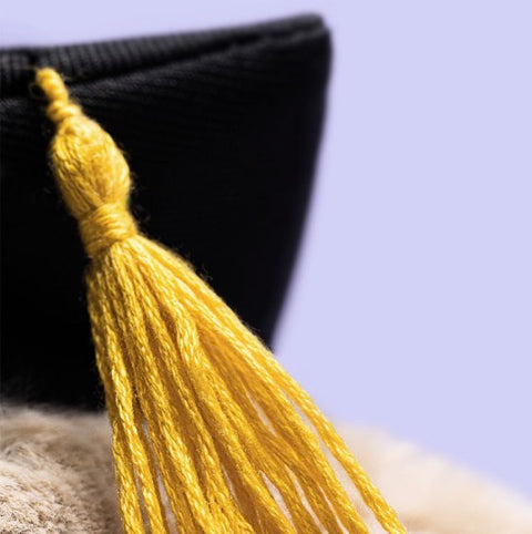 JELLYCAT BASHFUL BUNNY GRADUATION OUTFIT
