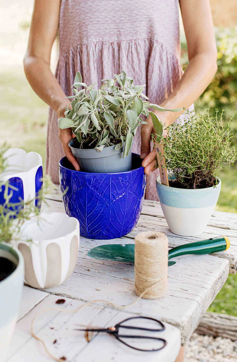 Vietri Viva Garden Cobalt Embossed Leaves Cachepot