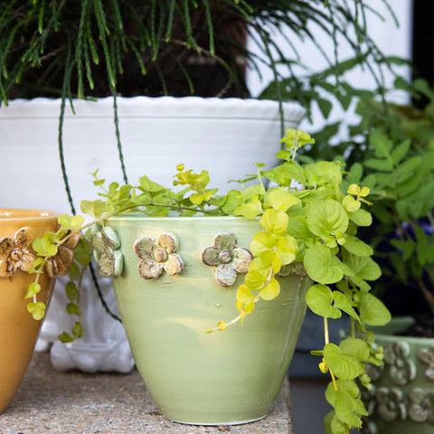 Vietri Rustic Garden Pistachio Small Flower Cachepot
