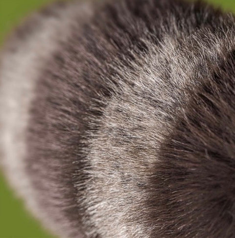 JELLYCAT TRIXIWOO RACCOON