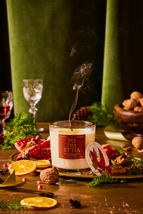 Rewined Poinsettia Candle - 10 oz