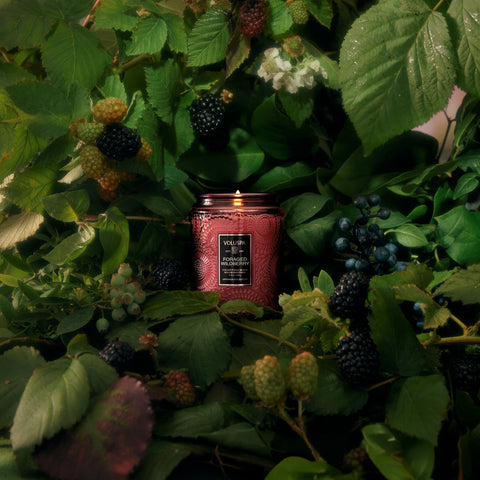Voluspa Foraged Wildberry Small Jar Candle
