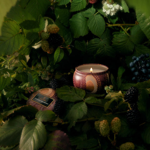 Voluspa Foraged Wildberry Tin Candle