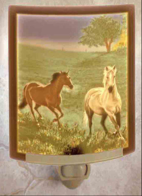The Porcelain Garden Morning Run Colored Curved Night Light