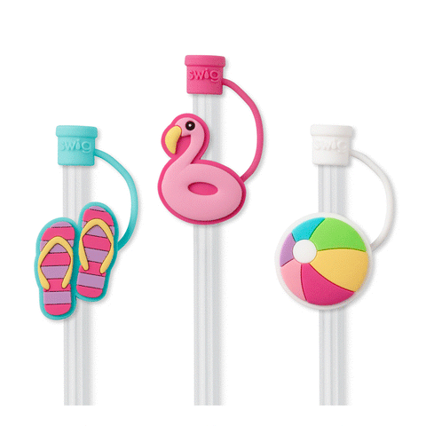 Swig Pool Straw Topper Set