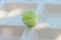 Nora Fleming Game, Set, Match (Tennis Ball) Mini